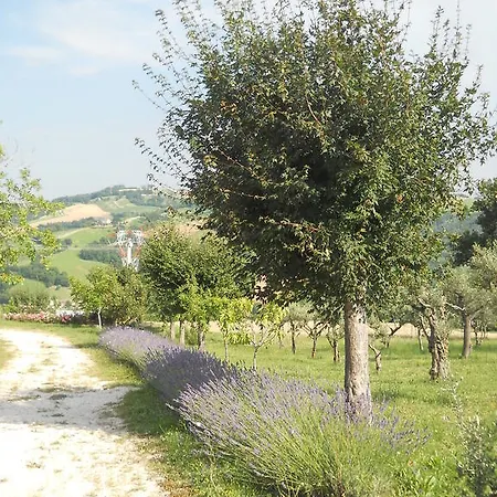 Infiniti Orizzonti Kır Evi San Ginesio