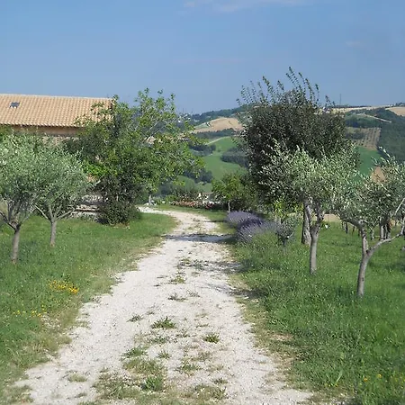 Infiniti Orizzonti San Ginesio