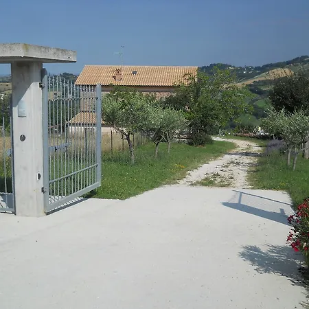 Infiniti Orizzonti *