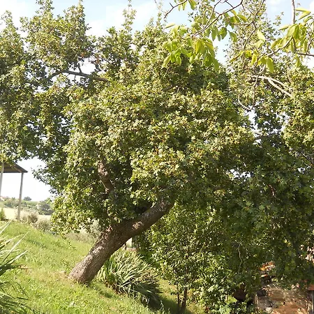 Infiniti Orizzonti Séjour à la campagne *