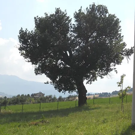 Kır Evi Infiniti Orizzonti San Ginesio