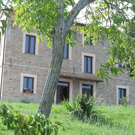 Infiniti Orizzonti * San Ginesio