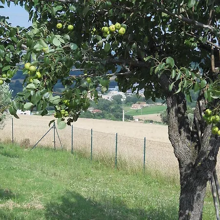 Infiniti Orizzonti Séjour à la campagne San Ginesio