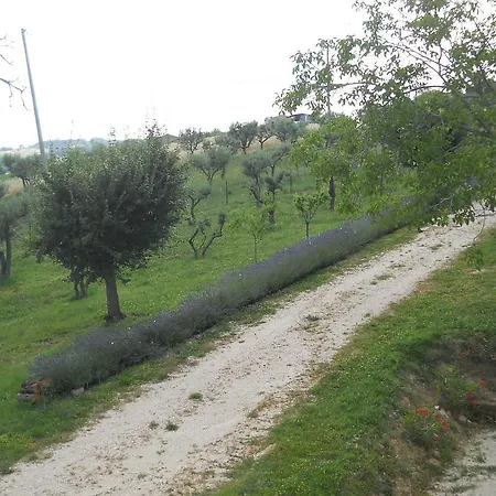 Infiniti Orizzonti Kır Evi *
